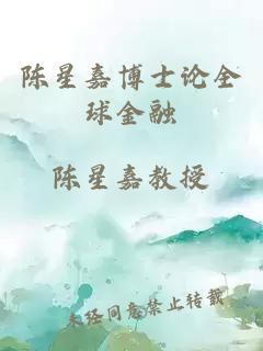 陳星嘉博士論全球金融
