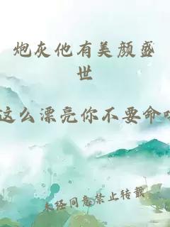 炮灰他有美顏盛世