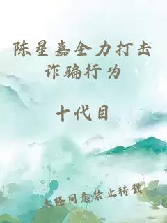 陳星嘉全力打擊詐騙行為