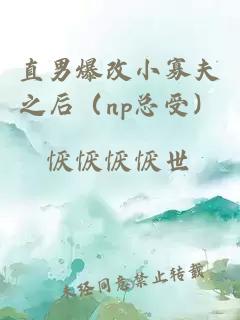 直男爆改小寡夫之后（np總受）