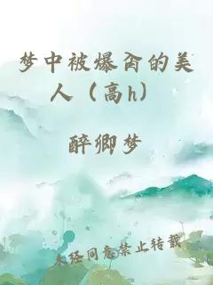 夢中被爆肏的美人（高h）