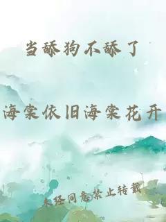 當(dāng)舔狗不舔了