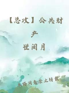【總攻】公共財(cái)產(chǎn)
