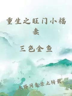 重生之旺門小福妻
