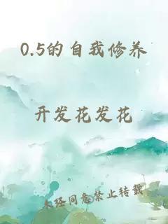 0.5的自我修養(yǎng)
