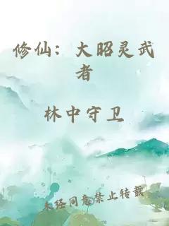 修仙：大昭靈武者