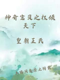 神奇寶貝之權(quán)傾天下