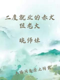二度就業(yè)的赤犬組老大
