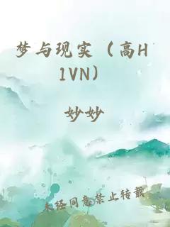 夢(mèng)與現(xiàn)實(shí)（高H 1VN）