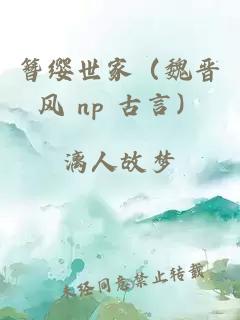 簪纓世家（魏晉風 np 古言）