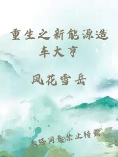 重生之新能源造車大亨