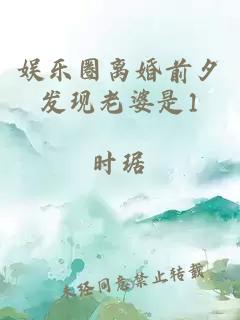 娛樂圈離婚前夕發(fā)現(xiàn)老婆是1