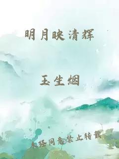 明月映清輝