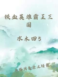 鐵血英雄霸王三國