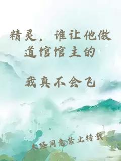 精靈，誰讓他做道館館主的
