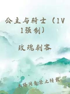 公主與騎士（1V1強(qiáng)制）