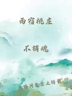 雨宿桃莊