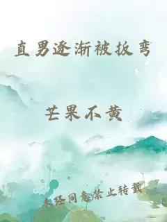 直男逐漸被扳彎