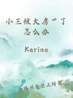 小三被大房艸了怎么辦