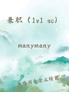 兼職（1v1 sc）