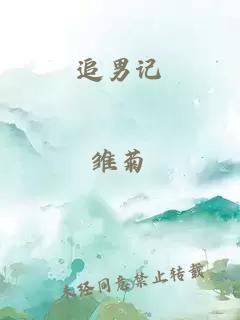 追男記