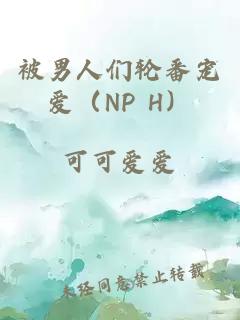被男人們輪番寵愛（NP H）