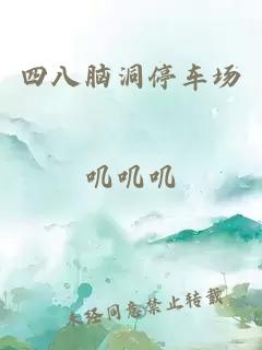 四八腦洞停車場