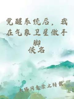 覺醒系統(tǒng)后，我在氣象衛(wèi)星做手腳