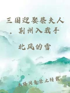 三國(guó)迎娶蔡夫人，荊州入我手