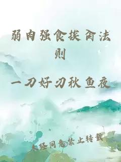 弱肉強食挨肏法則