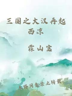 三國(guó)之大漢再起西涼