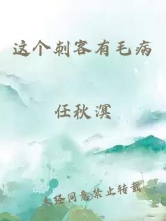 這個(gè)刺客有毛病