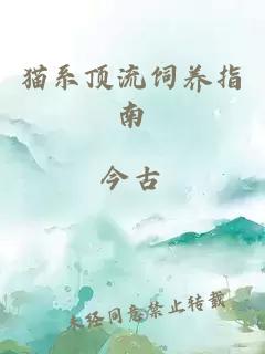 貓系頂流飼養(yǎng)指南