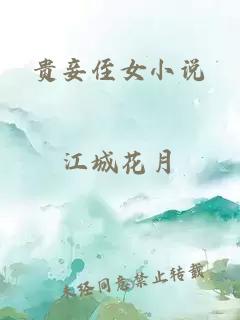 貴妾侄女小說(shuō)