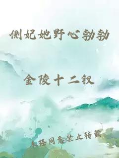 側妃她野心勃勃