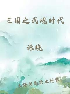 三國(guó)之武魂時(shí)代